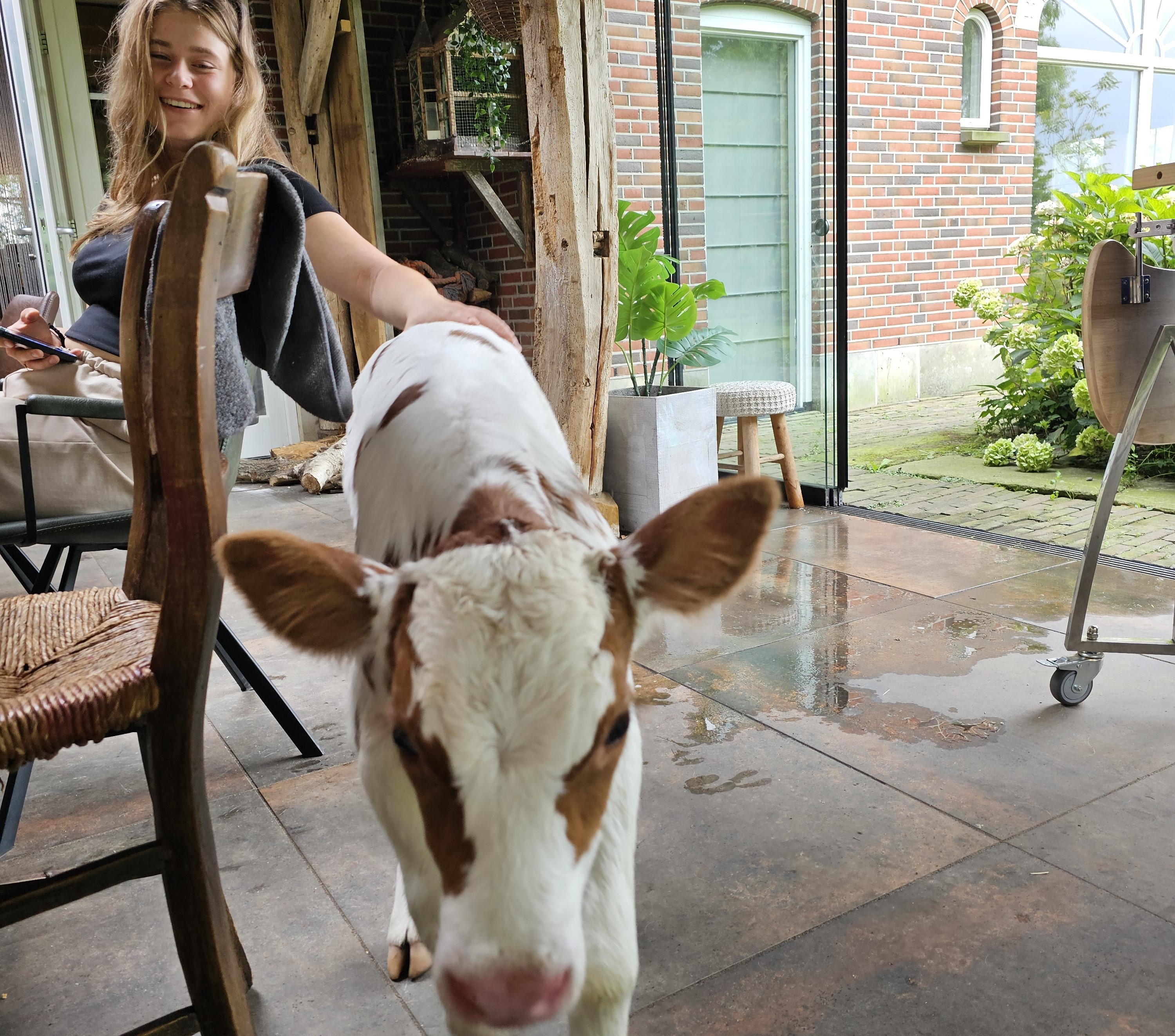 Column: ‘Kalf in de tuin’ in vakblad de Boerderij