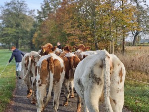Column: 'Ontsnapping' in vakblad de Boerderij