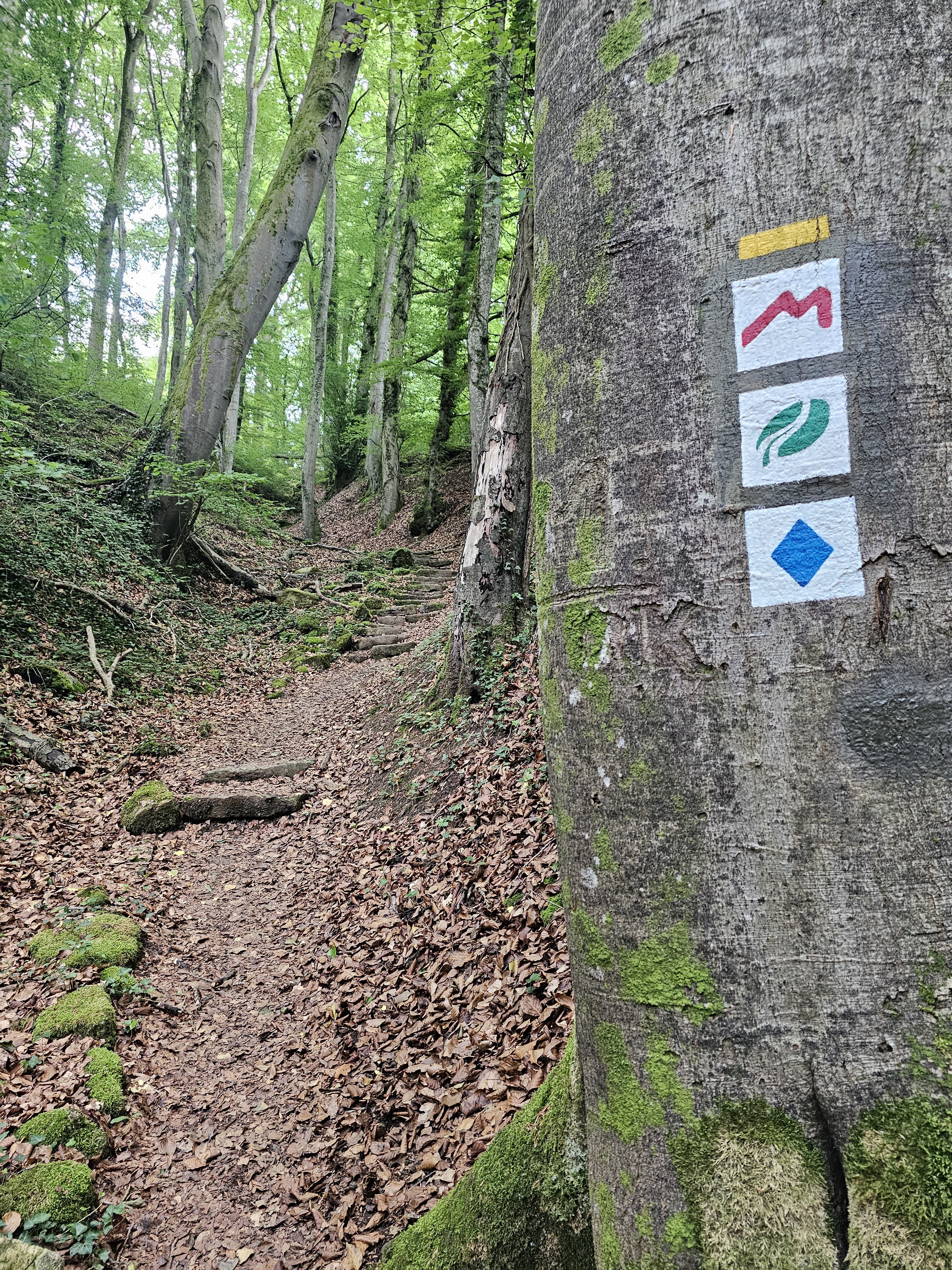 Wandeltip: De Muellertrail in Luxemburg
