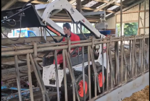 Column in de Boerderij ‘Er was een koe door de roosters gezakt'